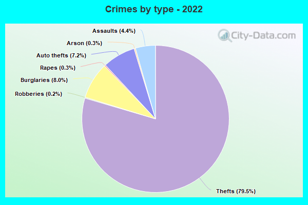 Crimes by type - 2022