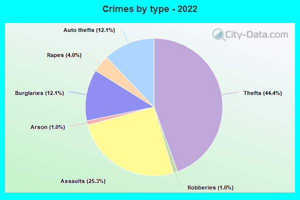 Crimes by type - 2022