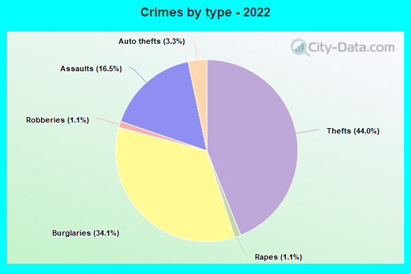 Crimes by type - 2022