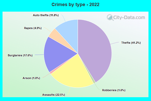 Crimes by type - 2022