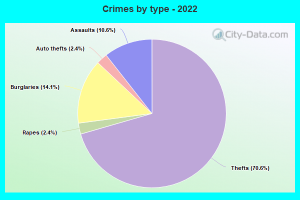 Crimes by type - 2022