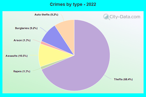 Crimes by type - 2022