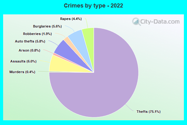 Crimes by type - 2022