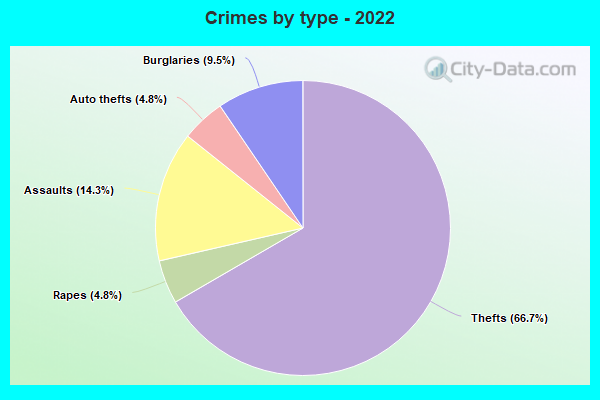 Crimes by type - 2022