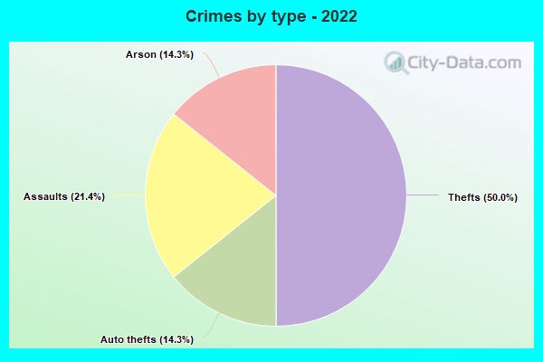 Crimes by type - 2022