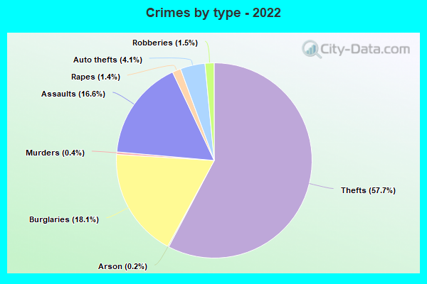 Crimes by type - 2022