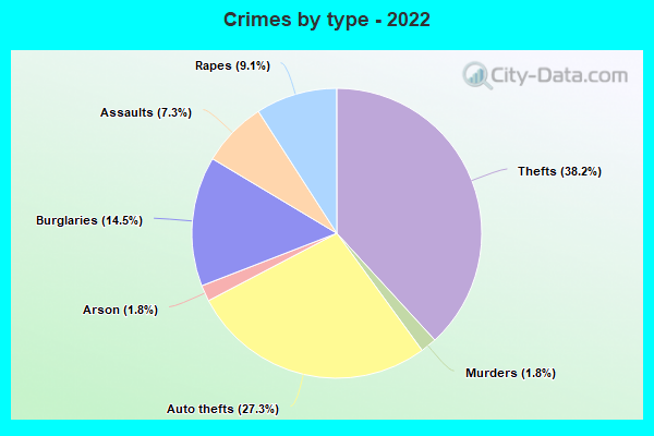 Crimes by type - 2022