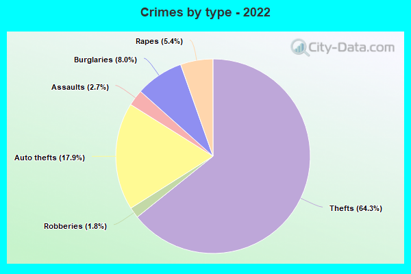 Crimes by type - 2022