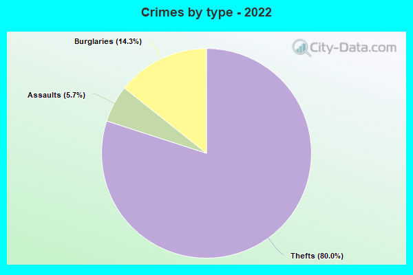 Crimes by type - 2022