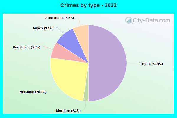 Crimes by type - 2022