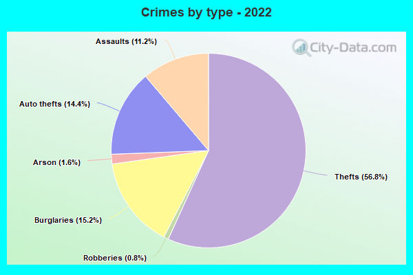 Crimes by type - 2022