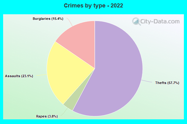 Crimes by type - 2022