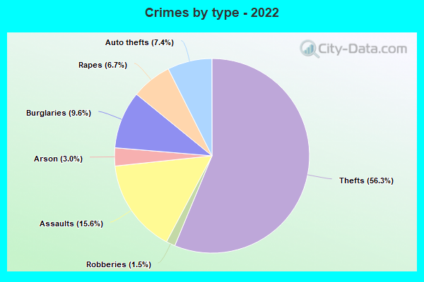 Crimes by type - 2022