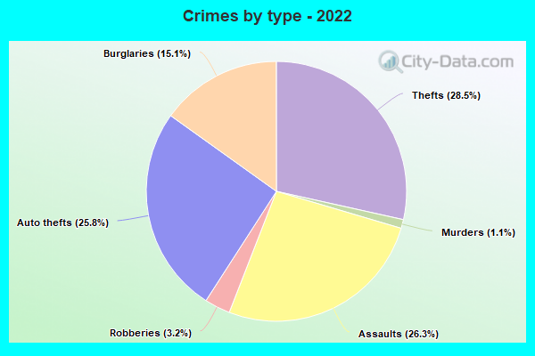 Crimes by type - 2022