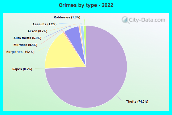 Crimes by type - 2022