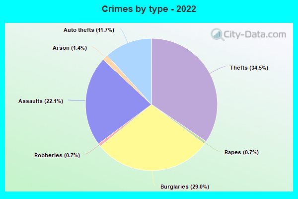 Crimes by type - 2022