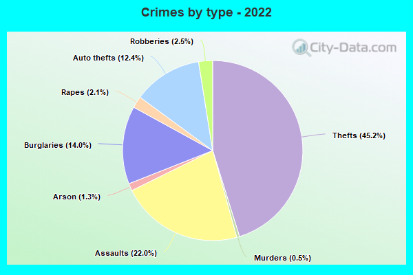 Crimes by type - 2022