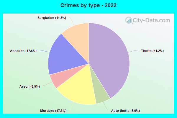 Crimes by type - 2022