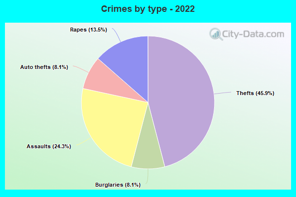 Crimes by type - 2022