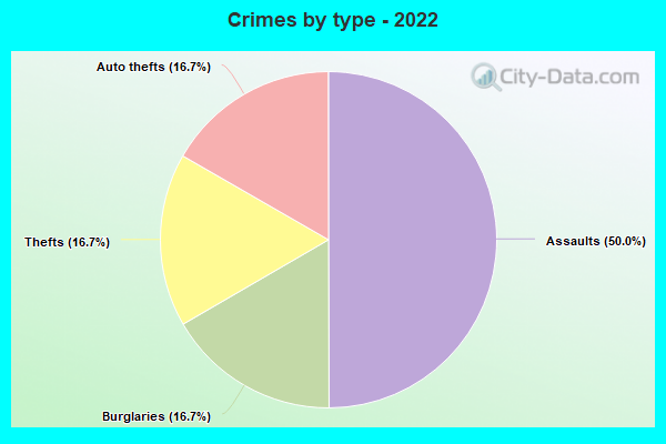 Crimes by type - 2022