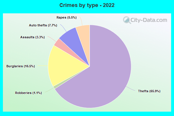 Crimes by type - 2022