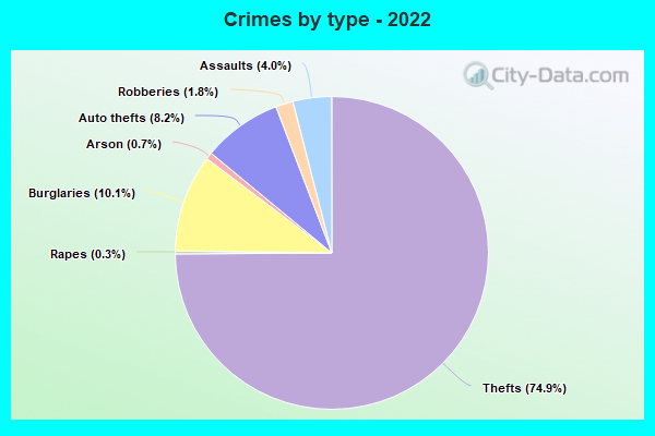 Crimes by type - 2022