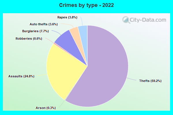 Crimes by type - 2022