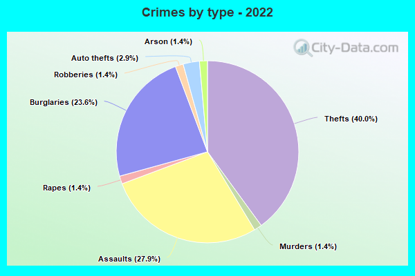 Crimes by type - 2022