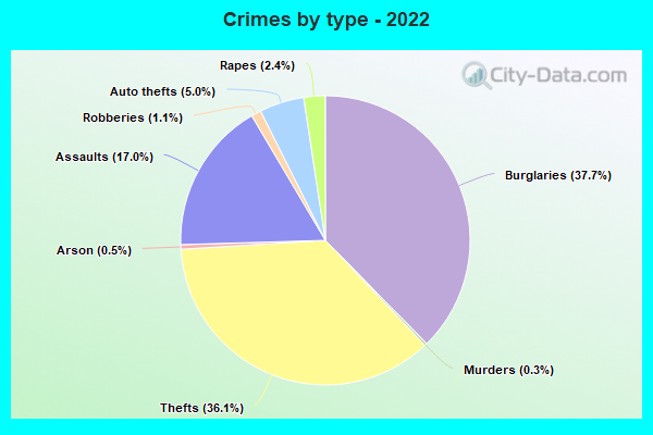 Crimes by type - 2022