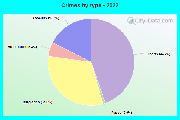 Crimes by type - 2022