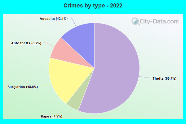 Crimes by type - 2022