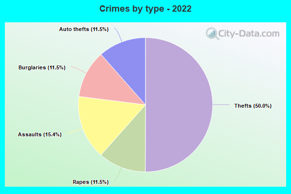 Crimes by type - 2022