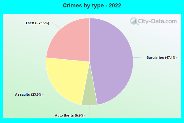 Crimes by type - 2022