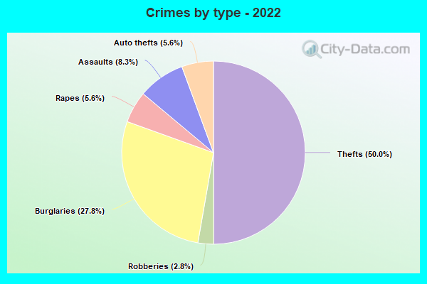 Crimes by type - 2022