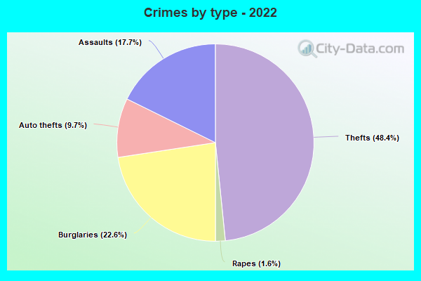 Crimes by type - 2022