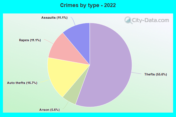 Crimes by type - 2022