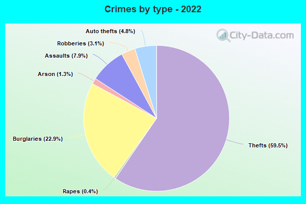 Crimes by type - 2022