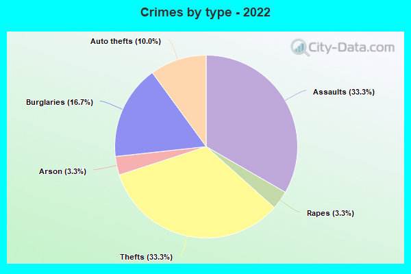 Crimes by type - 2022