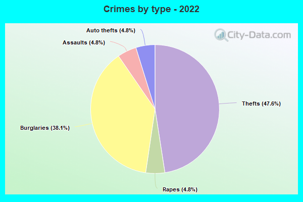 Crimes by type - 2022