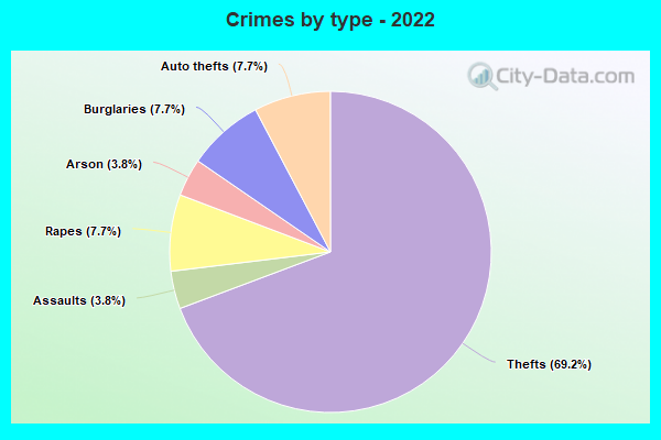 Crimes by type - 2022