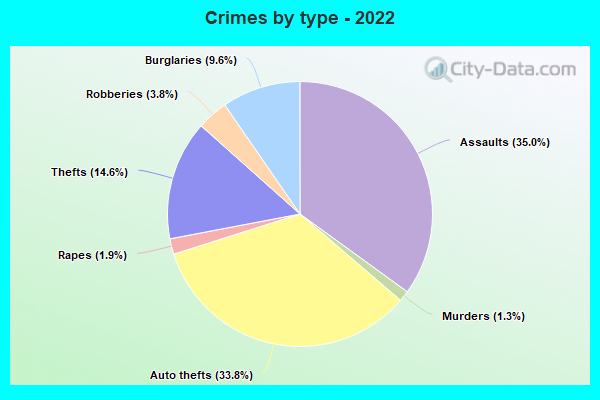 Crimes by type - 2022