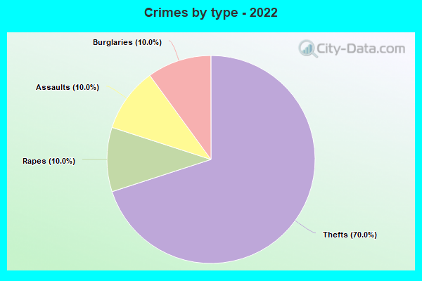 Crimes by type - 2022