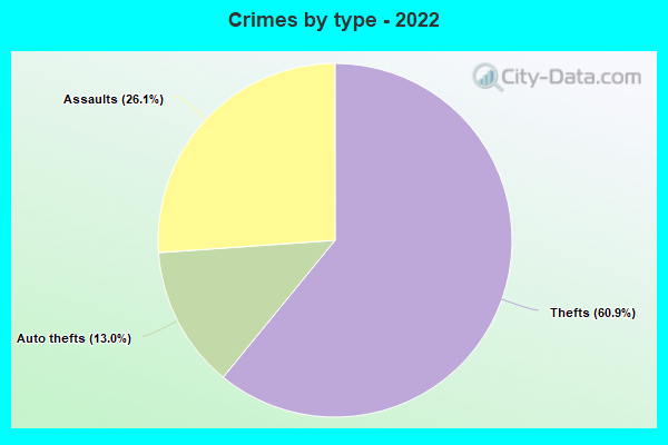 Crimes by type - 2022