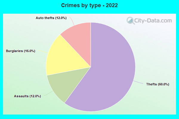 Crimes by type - 2022