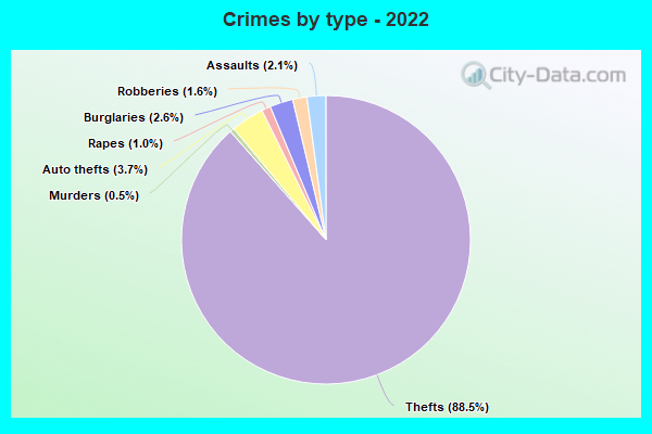 Crimes by type - 2022