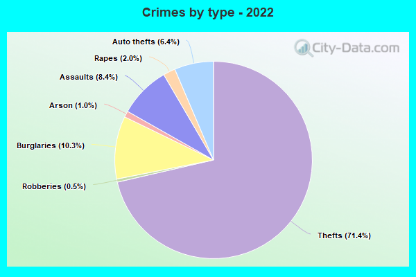 Crimes by type - 2022