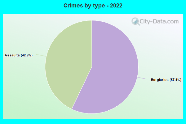 Crimes by type - 2022