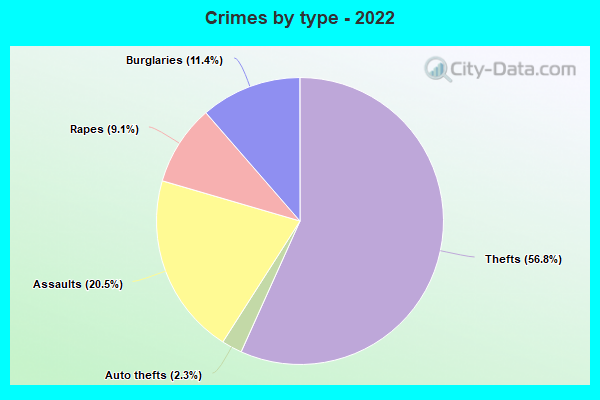 Crimes by type - 2022