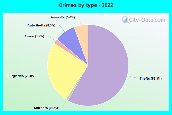 Crimes by type - 2022