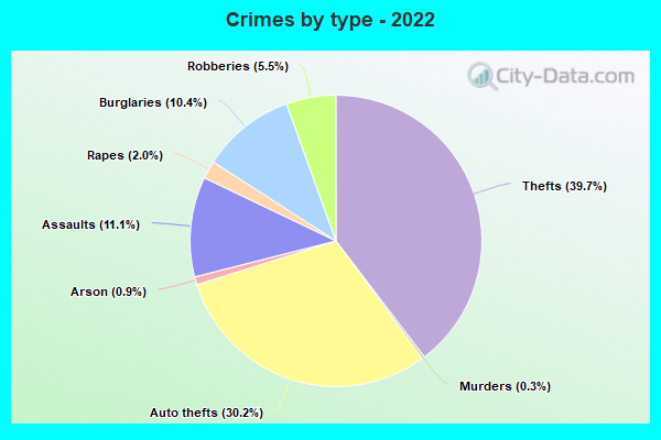 Crimes by type - 2022